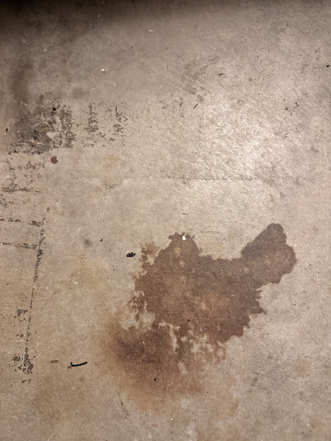 Original floor stain that suggested the shape of a chicken