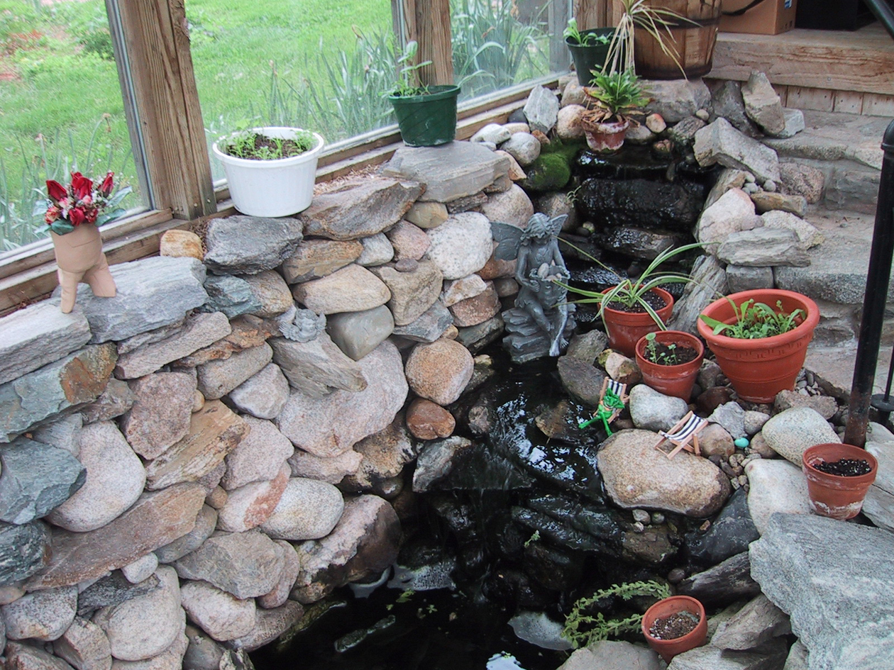 Indoor stone water garden with plants