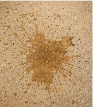 The original accidental floor stain that inspired May Contain Alcohol